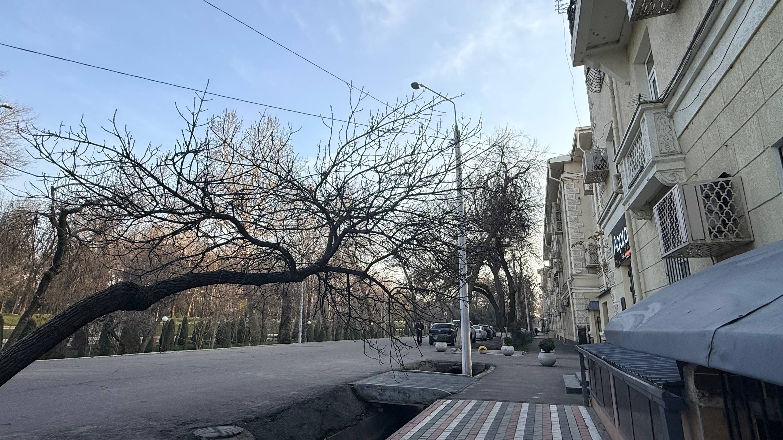 Sovuq antitsiklon: Toshkentda havo sifati vaqtincha yomonlashishi mumkin